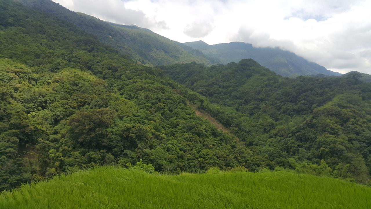 五葉松民宿-電梯民宿 近慈濟中小學及慈科大及人社院 Hualien City Luaran gambar